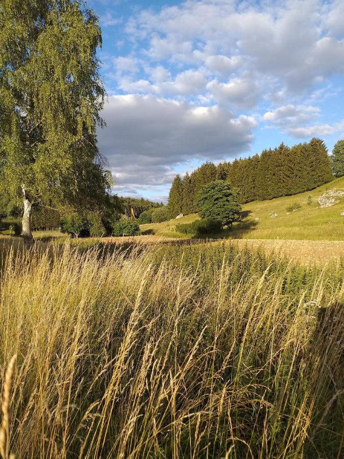 Landcafe Sima & Zimmervermietung Forheim Экстерьер фото